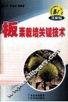 板栗栽培关键技术