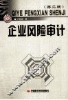 企业风险审计  第2版