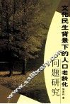 文化民生背景下的人口老龄化问题研究