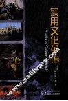 实用文化英语