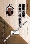 结肠直肠及肛门疾病图谱