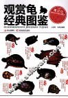 观赏龟经典图鉴