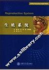 生殖系统