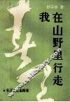 春天我在山野里行走 封面