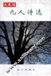 大民间九人诗选