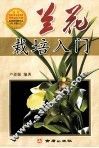 兰花栽培入门