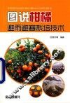 图说柑橘避雨避寒栽培技术