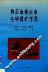 狗头金表生金生物成矿作用