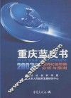 重庆蓝皮书  2007年经济社会形势分析与预测