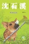 动物小说大王沈石溪  野猪囚犯  注音读本