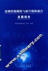贵州传统媒体与新兴媒体融合发展报告