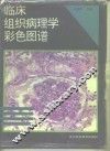 临床组织病理学彩色图谱