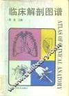 临床解剖图谱