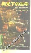 月光下的生命  中国夜生活探幽