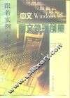 中文Windows 95图文处理例集