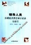 领导人员任期经济责任审计实务与技巧