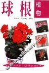 球根植物