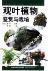 观叶植物鉴赏与栽培