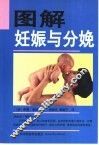 图解妊娠与分娩