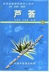 药用动植物种养加工技术  37  芦荟