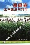甜高粱高产栽培与利用