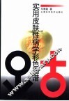 实用皮肤性病学彩色图谱