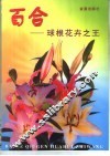 百合  球根花卉之王