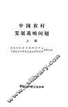 中国农村发展战略问题