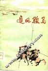 追风骏马
