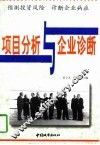 项目分析与企业诊断