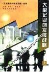 大型企业的发展战略  上