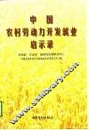 中国农村劳动力开发就业启示录