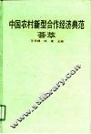 中国农村新型合作经济典范荟萃