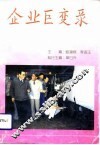 企业巨变录