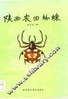 陕西农田蜘蛛