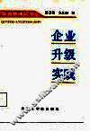 企业升级实践