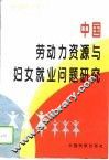 中国劳动力资源与妇女就业问题研究