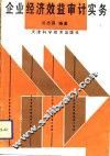 企业经济效益审计实务