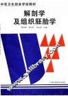 解剖学及组织胚胎学