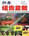 四季组合盆栽