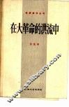 在大革命的洪流中