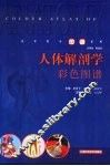 人体解剖学彩色图谱  英汉对照