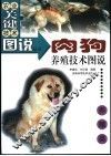 肉狗养殖技术图说