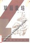 草菇栽培