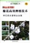 棉花高效种植技术