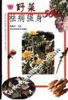 野菜祛病强身500方