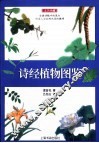 诗经植物图鉴