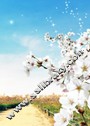 蜀碧封面