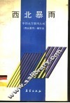 西北暴雨