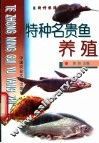 特种名贵鱼养殖